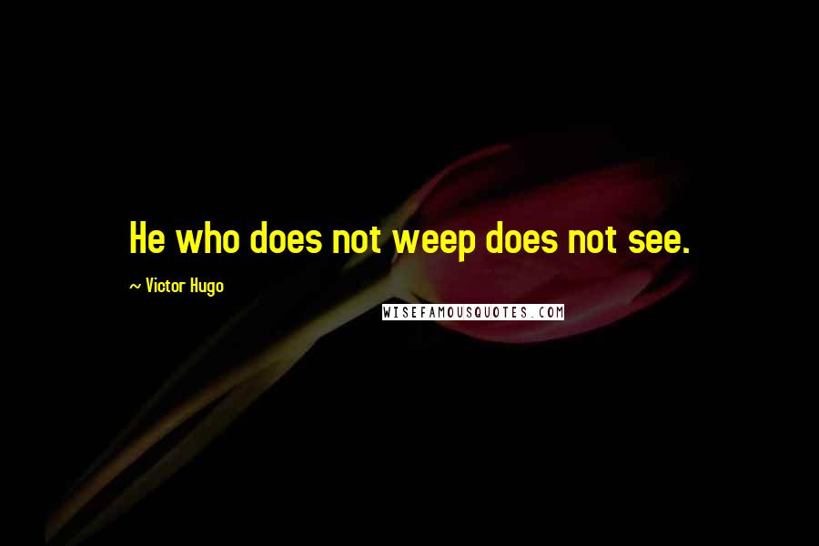 Victor Hugo Quotes: He who does not weep does not see.