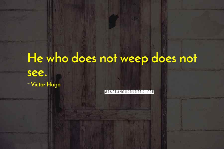 Victor Hugo Quotes: He who does not weep does not see.