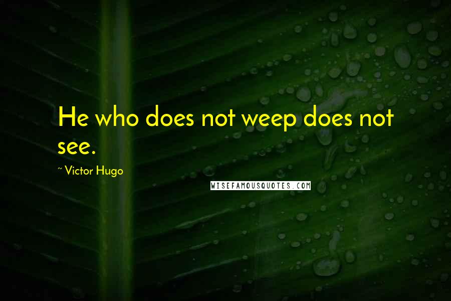 Victor Hugo Quotes: He who does not weep does not see.