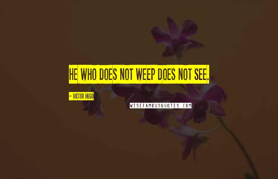 Victor Hugo Quotes: He who does not weep does not see.