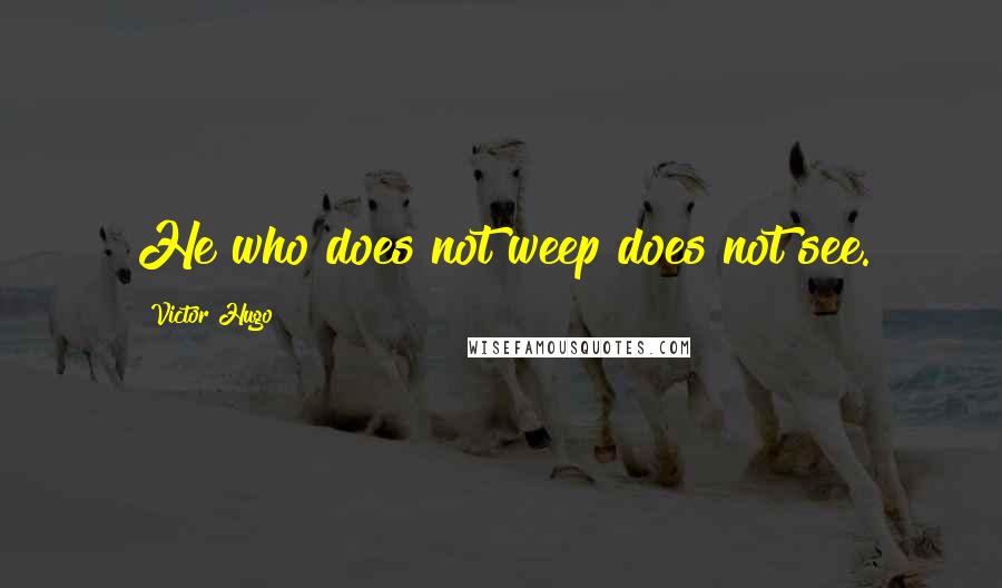 Victor Hugo Quotes: He who does not weep does not see.