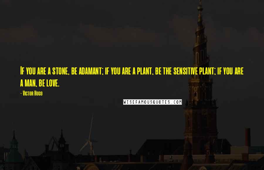 Victor Hugo Quotes: If you are a stone, be adamant; if you are a plant, be the sensitive plant; if you are a man, be love.