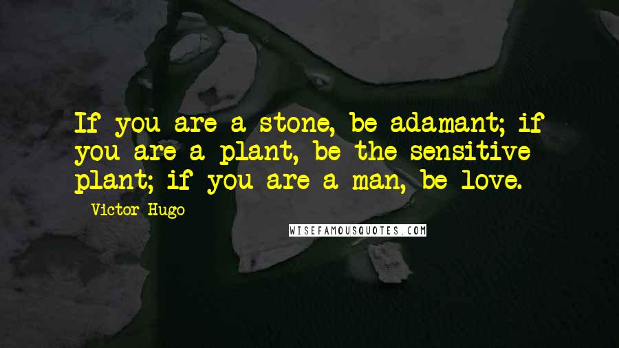 Victor Hugo Quotes: If you are a stone, be adamant; if you are a plant, be the sensitive plant; if you are a man, be love.