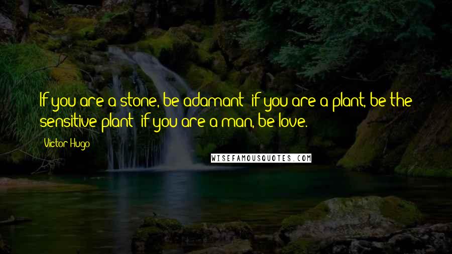Victor Hugo Quotes: If you are a stone, be adamant; if you are a plant, be the sensitive plant; if you are a man, be love.