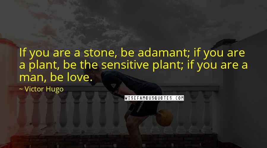 Victor Hugo Quotes: If you are a stone, be adamant; if you are a plant, be the sensitive plant; if you are a man, be love.