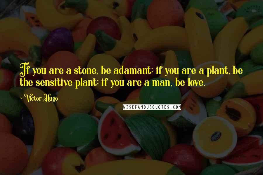 Victor Hugo Quotes: If you are a stone, be adamant; if you are a plant, be the sensitive plant; if you are a man, be love.