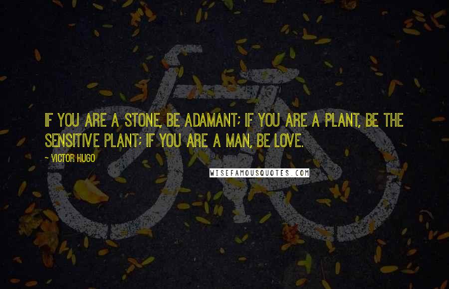 Victor Hugo Quotes: If you are a stone, be adamant; if you are a plant, be the sensitive plant; if you are a man, be love.