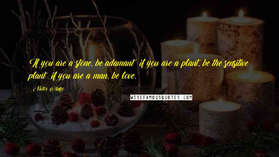 Victor Hugo Quotes: If you are a stone, be adamant; if you are a plant, be the sensitive plant; if you are a man, be love.