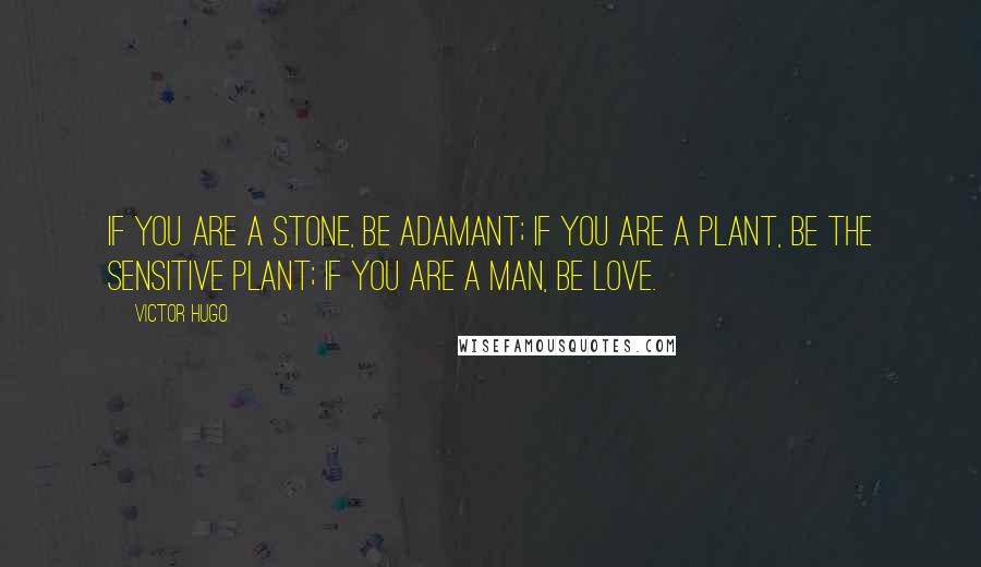 Victor Hugo Quotes: If you are a stone, be adamant; if you are a plant, be the sensitive plant; if you are a man, be love.
