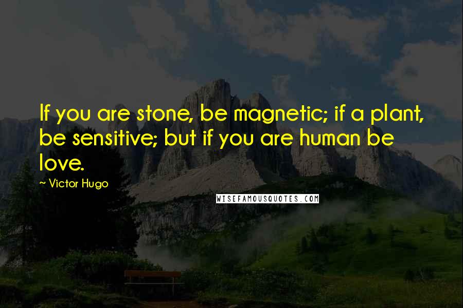 Victor Hugo Quotes: If you are stone, be magnetic; if a plant, be sensitive; but if you are human be love.