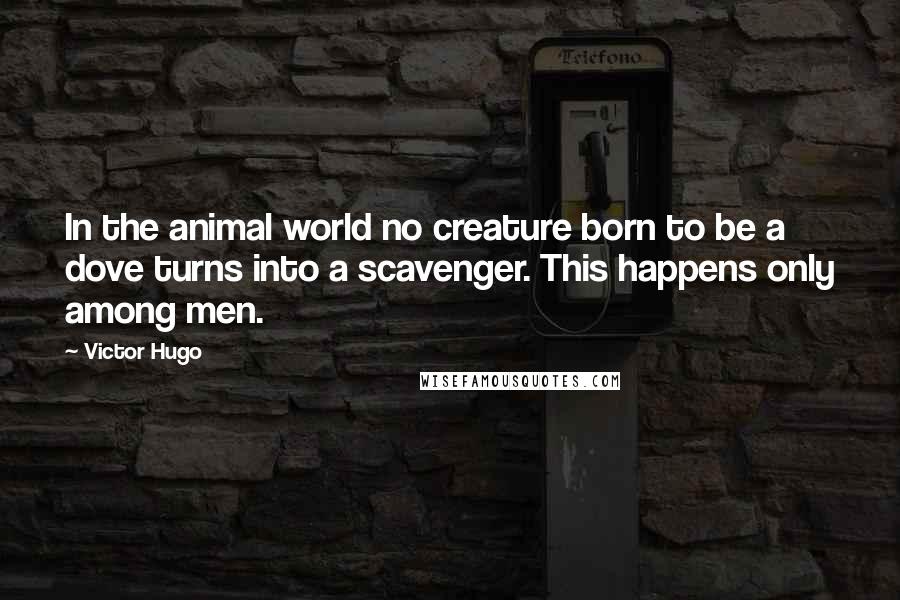 Victor Hugo Quotes: In the animal world no creature born to be a dove turns into a scavenger. This happens only among men.