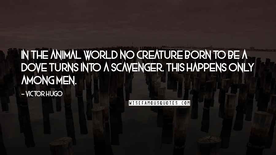 Victor Hugo Quotes: In the animal world no creature born to be a dove turns into a scavenger. This happens only among men.