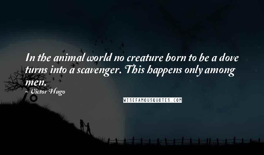 Victor Hugo Quotes: In the animal world no creature born to be a dove turns into a scavenger. This happens only among men.