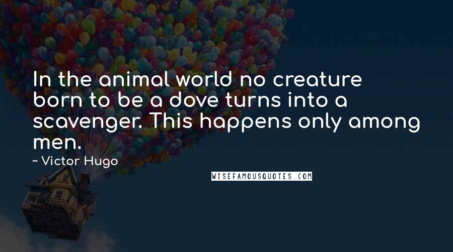 Victor Hugo Quotes: In the animal world no creature born to be a dove turns into a scavenger. This happens only among men.