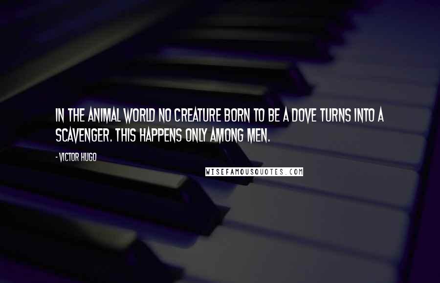 Victor Hugo Quotes: In the animal world no creature born to be a dove turns into a scavenger. This happens only among men.