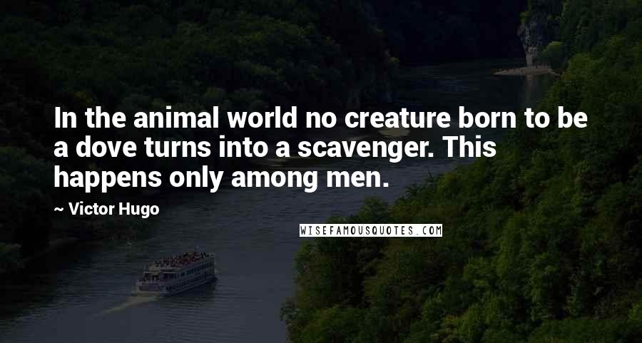 Victor Hugo Quotes: In the animal world no creature born to be a dove turns into a scavenger. This happens only among men.