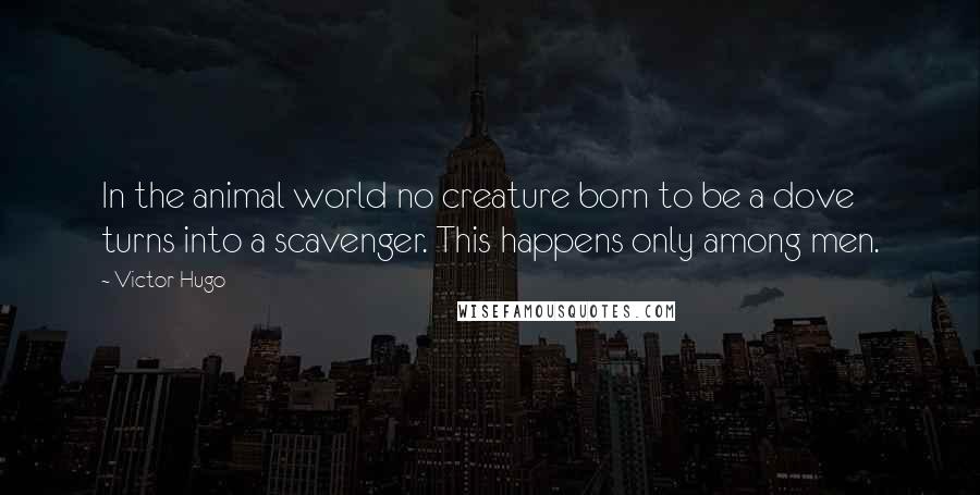 Victor Hugo Quotes: In the animal world no creature born to be a dove turns into a scavenger. This happens only among men.