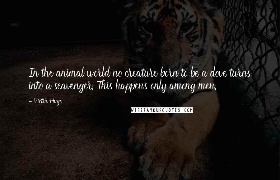 Victor Hugo Quotes: In the animal world no creature born to be a dove turns into a scavenger. This happens only among men.