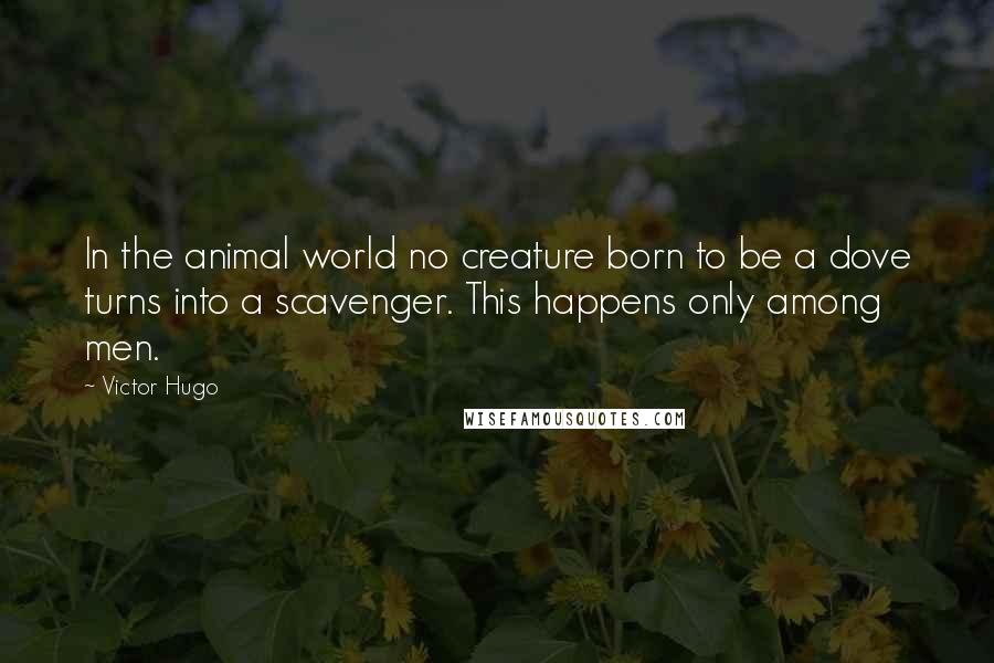 Victor Hugo Quotes: In the animal world no creature born to be a dove turns into a scavenger. This happens only among men.