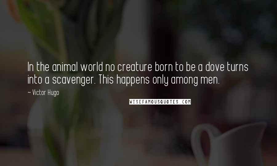 Victor Hugo Quotes: In the animal world no creature born to be a dove turns into a scavenger. This happens only among men.