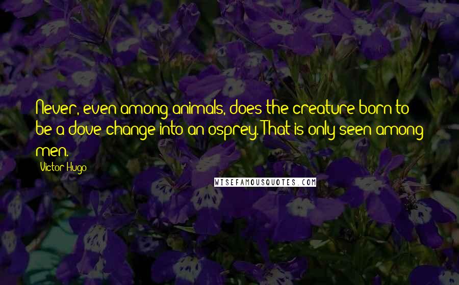 Victor Hugo Quotes: Never, even among animals, does the creature born to be a dove change into an osprey. That is only seen among men.