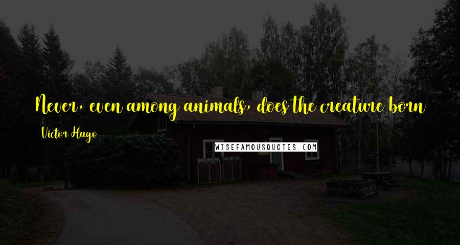 Victor Hugo Quotes: Never, even among animals, does the creature born to be a dove change into an osprey. That is only seen among men.