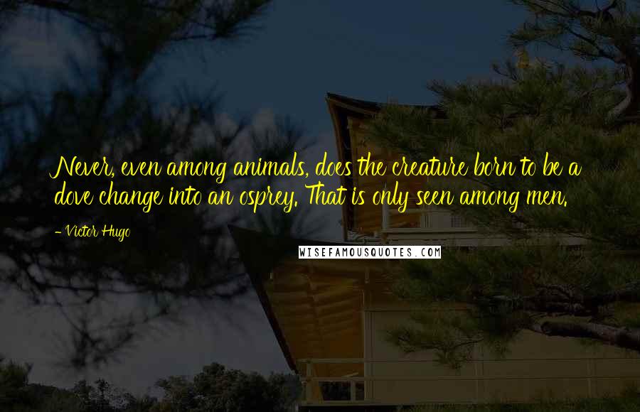 Victor Hugo Quotes: Never, even among animals, does the creature born to be a dove change into an osprey. That is only seen among men.