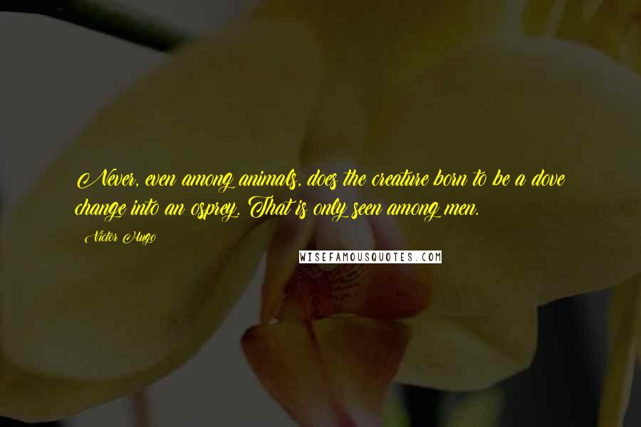 Victor Hugo Quotes: Never, even among animals, does the creature born to be a dove change into an osprey. That is only seen among men.