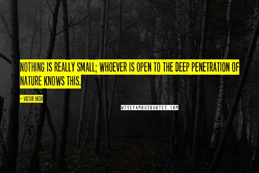 Victor Hugo Quotes: Nothing is really small; whoever is open to the deep penetration of nature knows this.