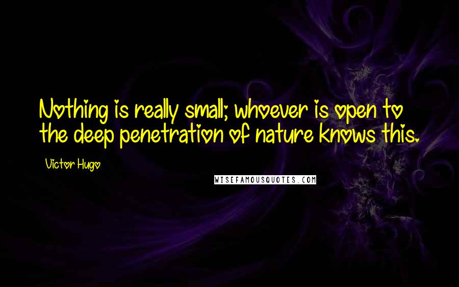 Victor Hugo Quotes: Nothing is really small; whoever is open to the deep penetration of nature knows this.