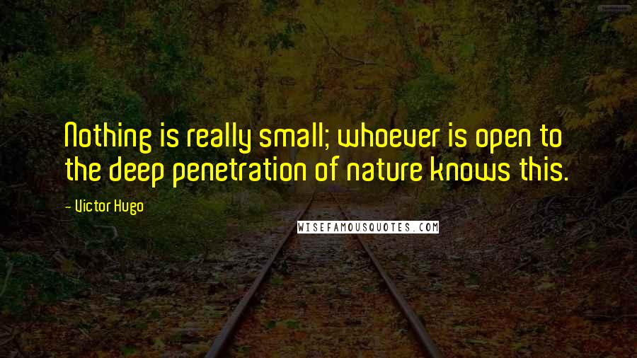 Victor Hugo Quotes: Nothing is really small; whoever is open to the deep penetration of nature knows this.