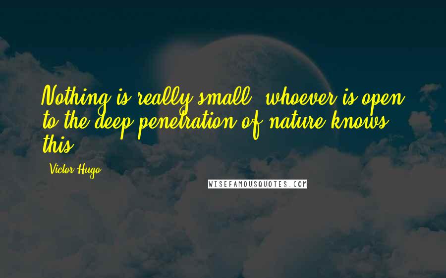 Victor Hugo Quotes: Nothing is really small; whoever is open to the deep penetration of nature knows this.