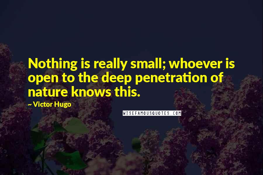 Victor Hugo Quotes: Nothing is really small; whoever is open to the deep penetration of nature knows this.