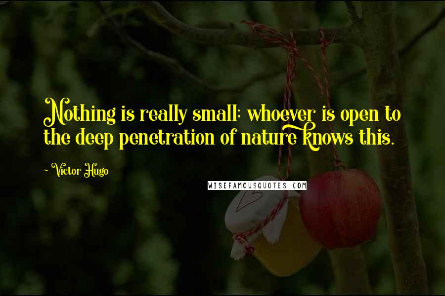 Victor Hugo Quotes: Nothing is really small; whoever is open to the deep penetration of nature knows this.