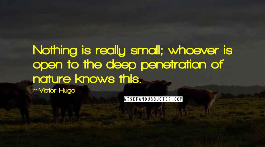 Victor Hugo Quotes: Nothing is really small; whoever is open to the deep penetration of nature knows this.