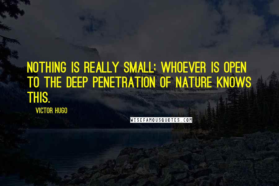 Victor Hugo Quotes: Nothing is really small; whoever is open to the deep penetration of nature knows this.