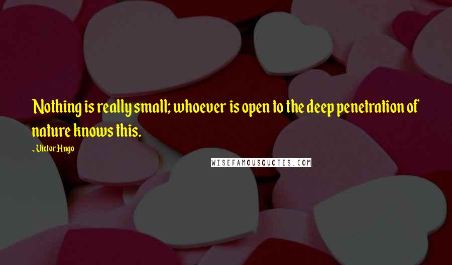 Victor Hugo Quotes: Nothing is really small; whoever is open to the deep penetration of nature knows this.