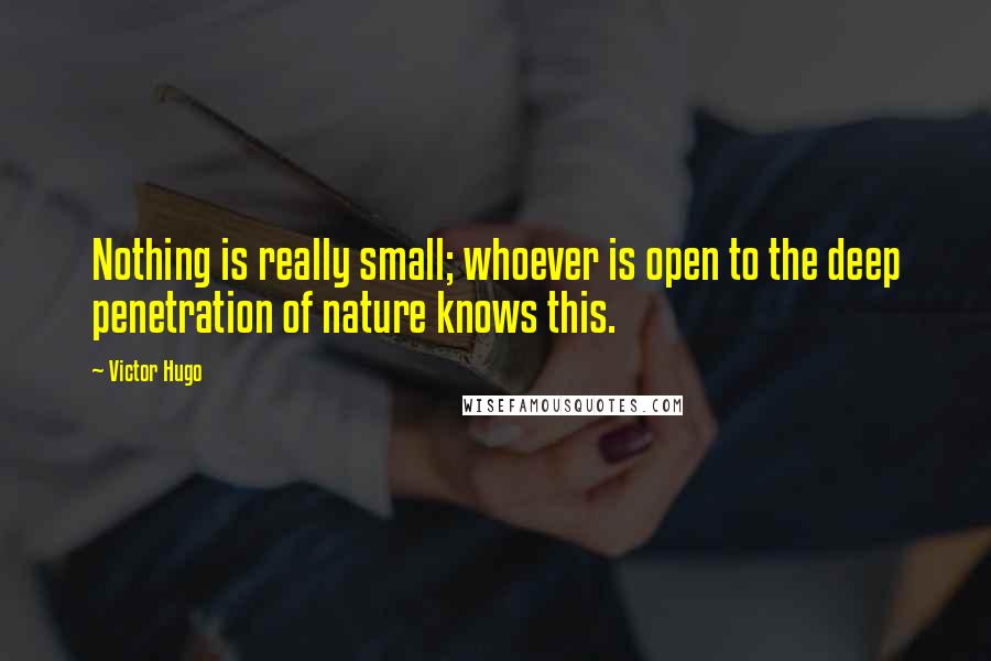 Victor Hugo Quotes: Nothing is really small; whoever is open to the deep penetration of nature knows this.