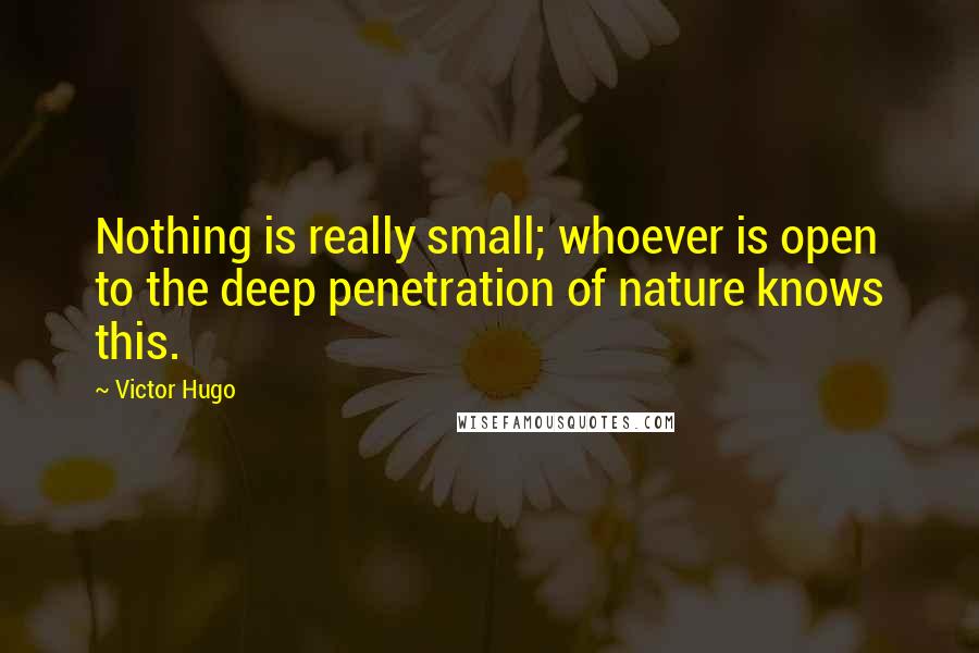 Victor Hugo Quotes: Nothing is really small; whoever is open to the deep penetration of nature knows this.