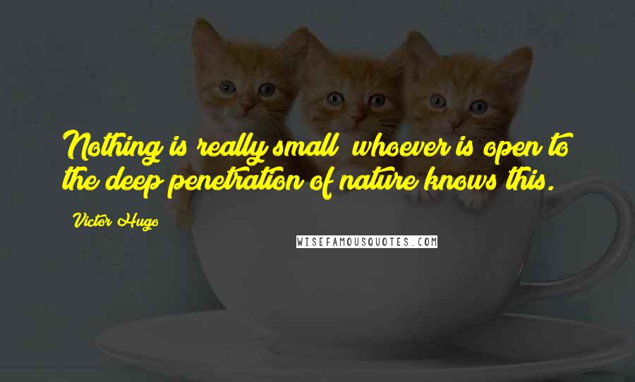 Victor Hugo Quotes: Nothing is really small; whoever is open to the deep penetration of nature knows this.