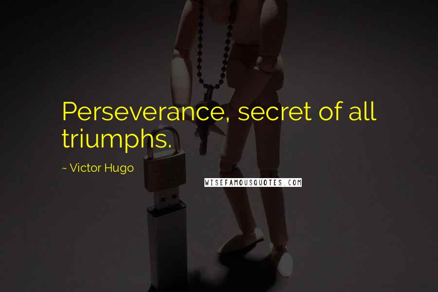 Victor Hugo Quotes: Perseverance, secret of all triumphs.