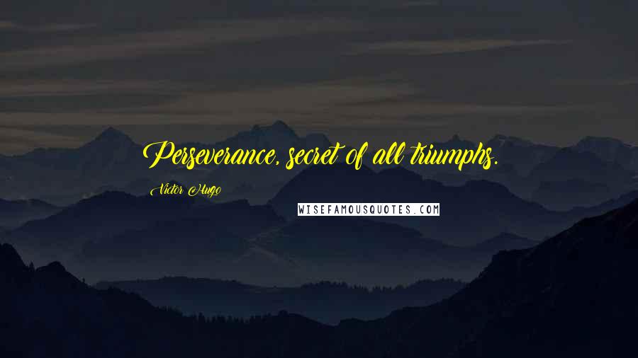 Victor Hugo Quotes: Perseverance, secret of all triumphs.