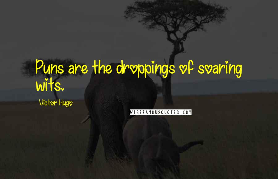 Victor Hugo Quotes: Puns are the droppings of soaring wits.