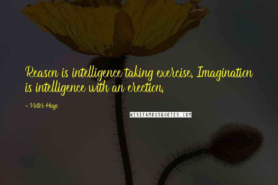 Victor Hugo Quotes: Reason is intelligence taking exercise. Imagination is intelligence with an erection.