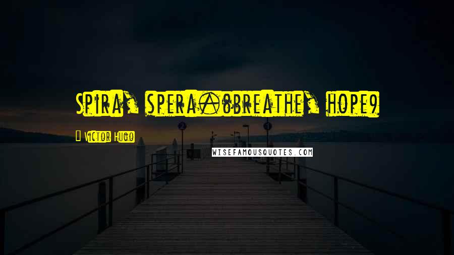 Victor Hugo Quotes: Spira, spera.(breathe, hope)