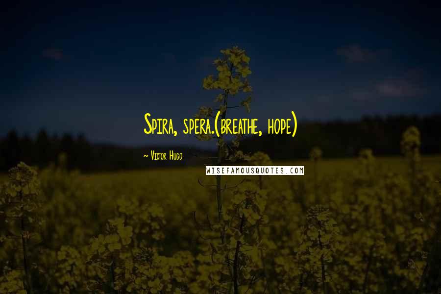 Victor Hugo Quotes: Spira, spera.(breathe, hope)