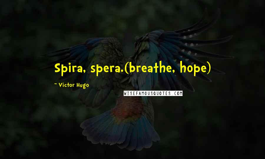Victor Hugo Quotes: Spira, spera.(breathe, hope)