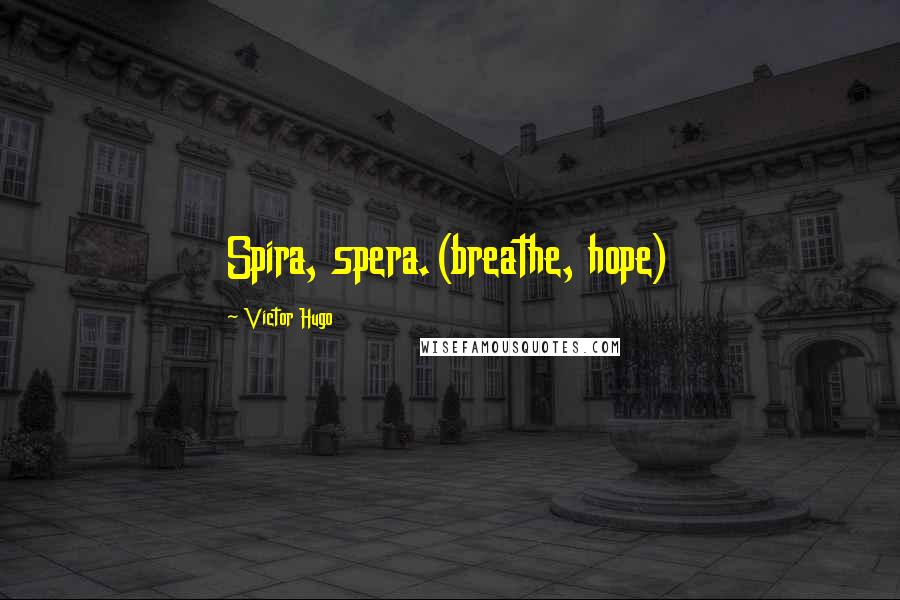 Victor Hugo Quotes: Spira, spera.(breathe, hope)