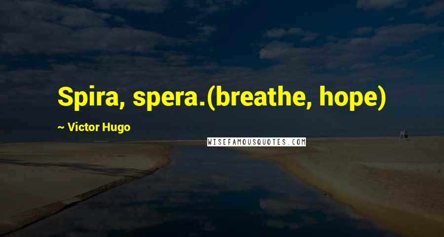 Victor Hugo Quotes: Spira, spera.(breathe, hope)