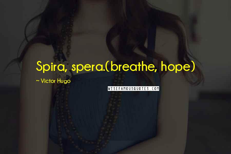 Victor Hugo Quotes: Spira, spera.(breathe, hope)